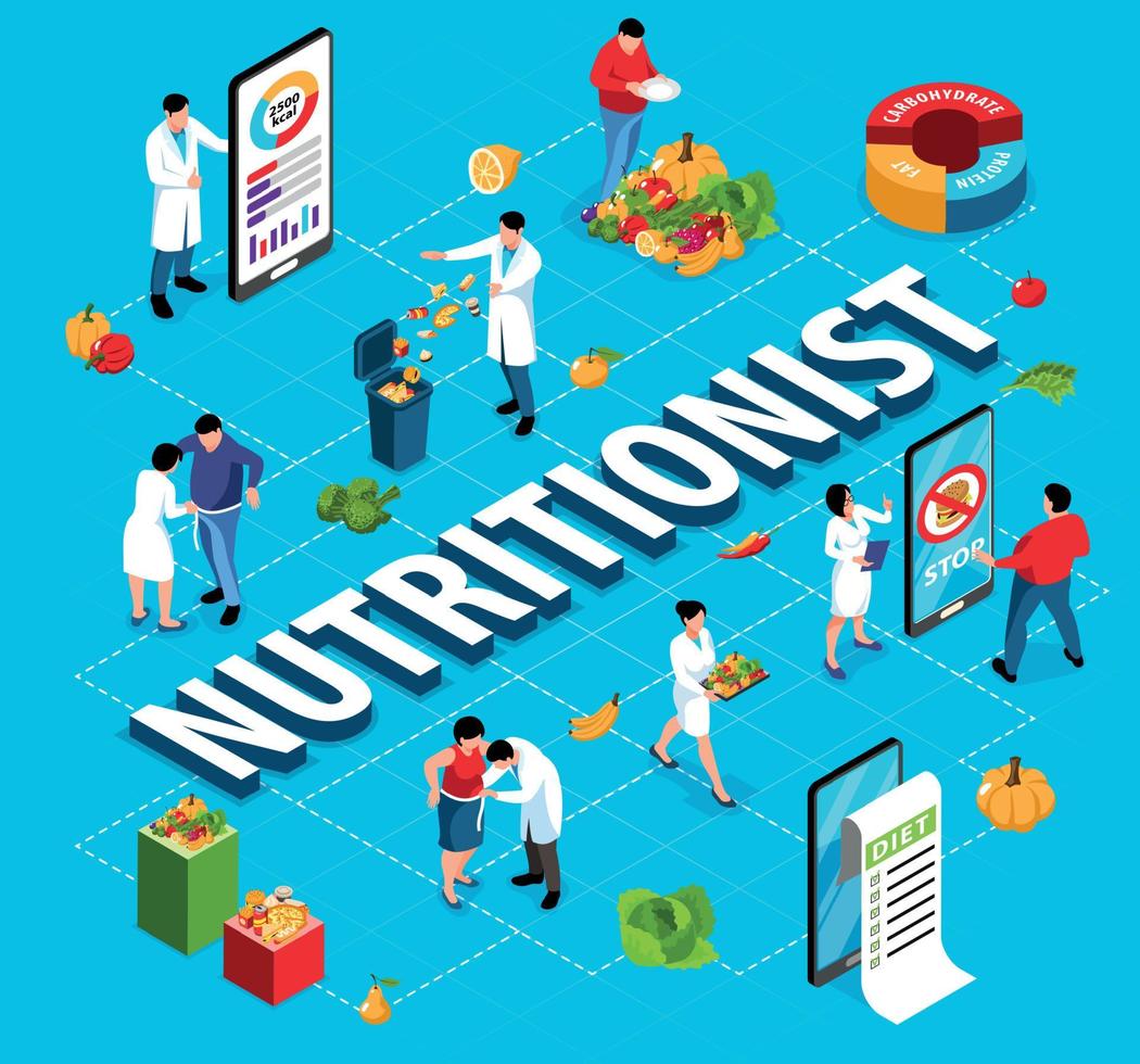 ernährungswissenschaftler isometrisches flussdiagramm vektor