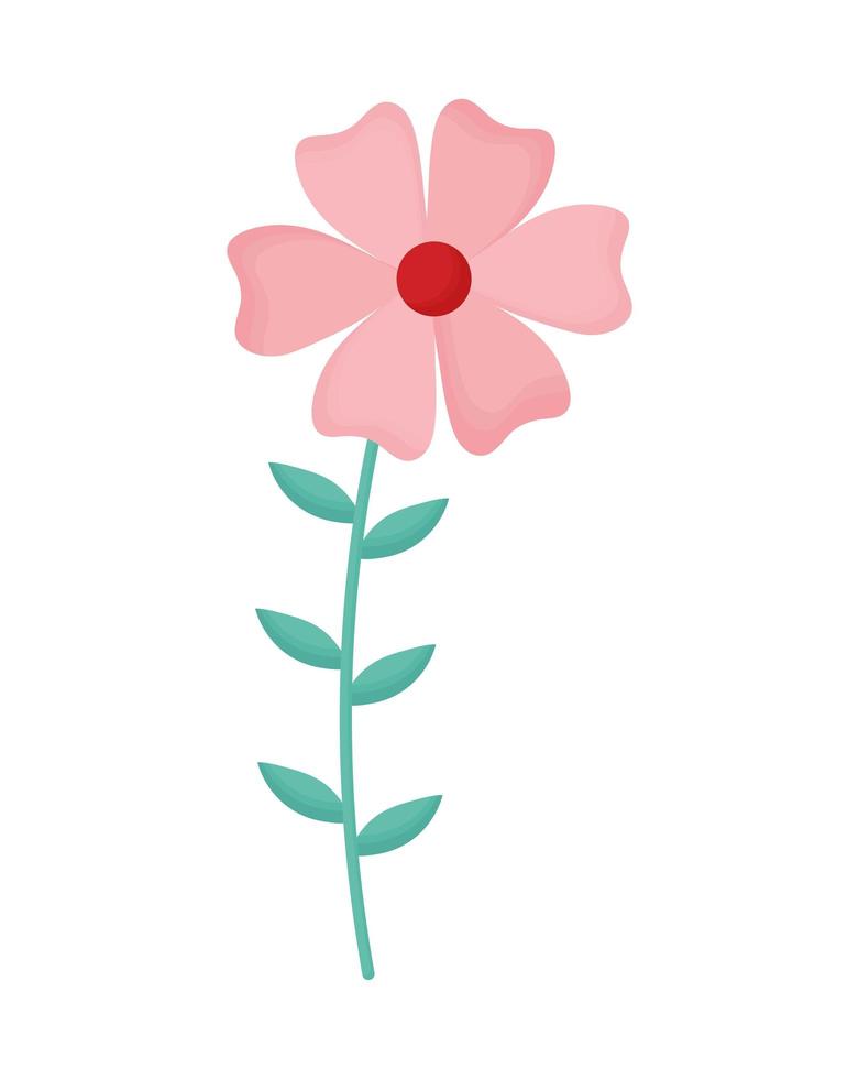 söt blomma rosa vektor