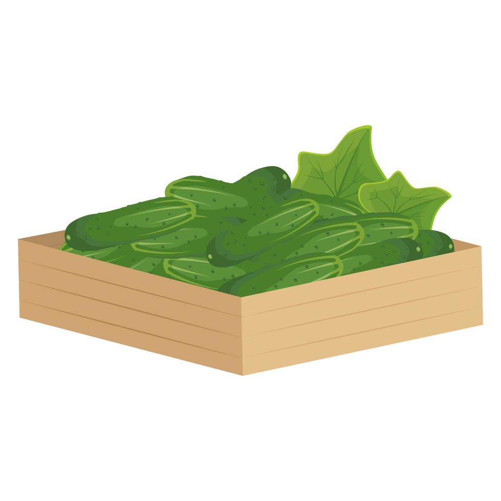 trälåda med grön gurka. utsökt hälsosam grönsak, färsk mat för salladsberedning, skörd. platt vektor illustration