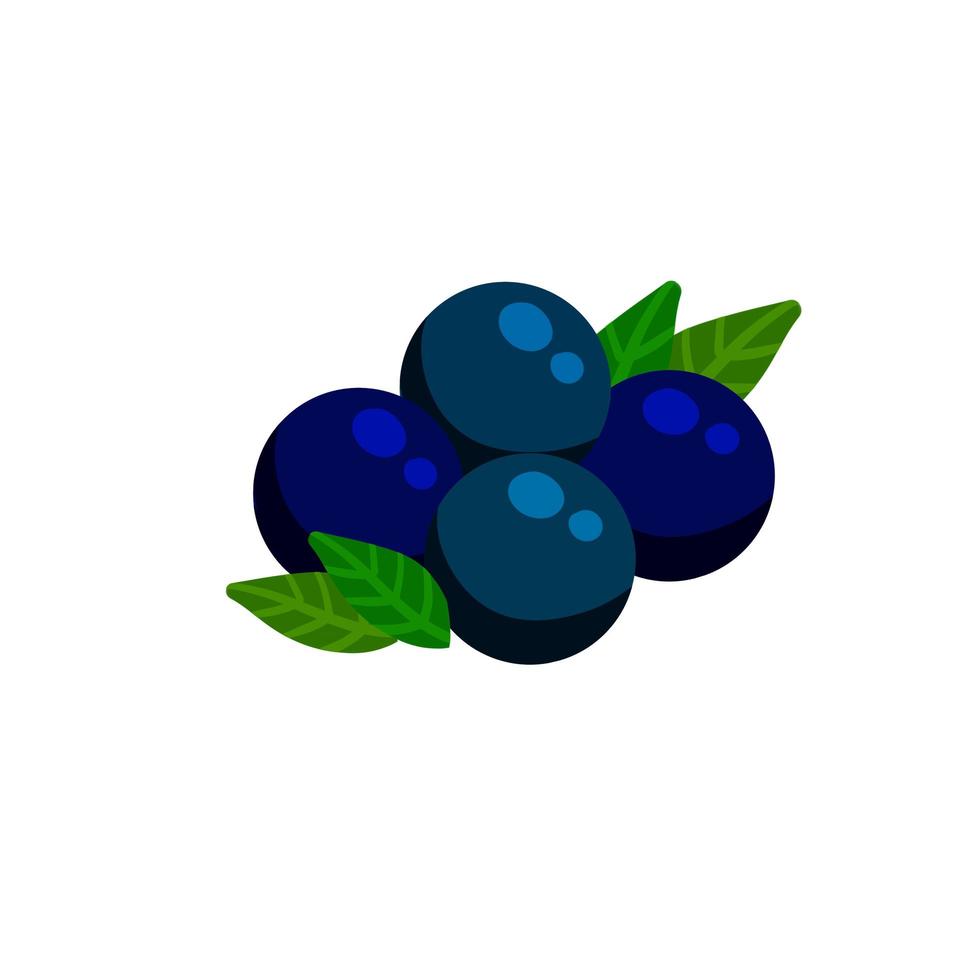 acaibär. hög med svart frukt. vektor
