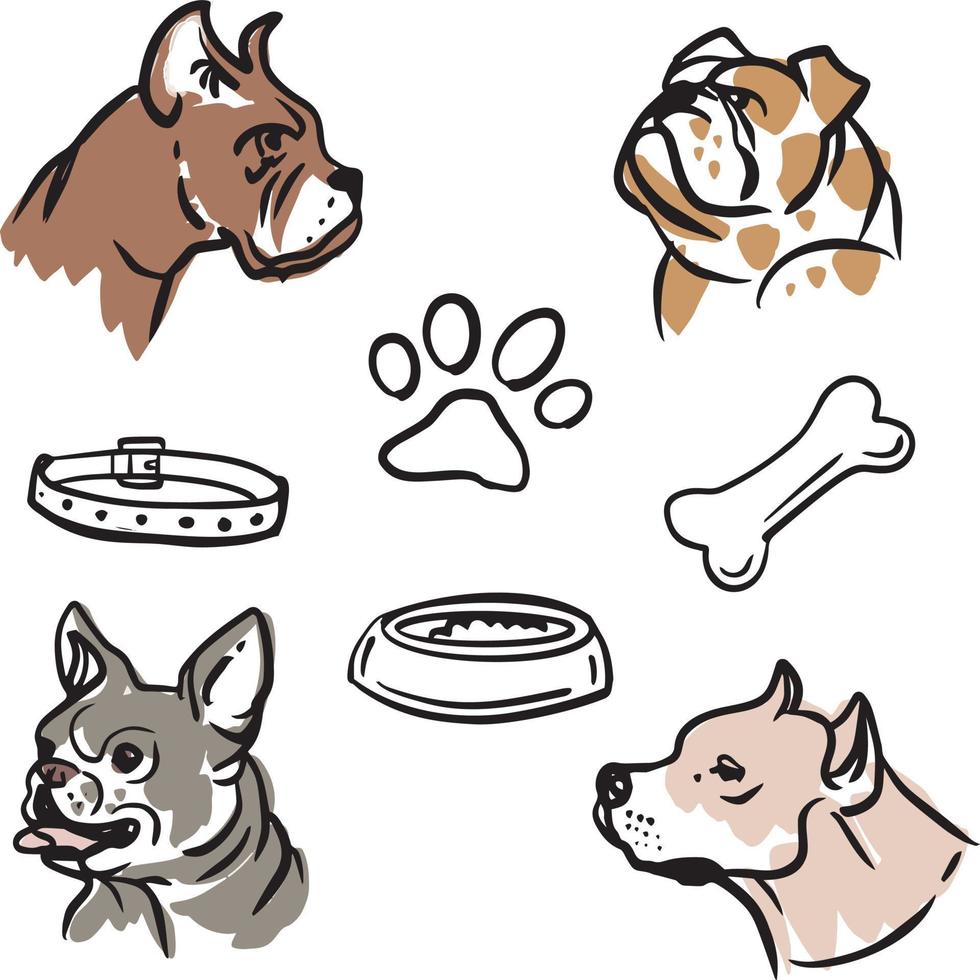 Hundesammlung. gezeichnete hunde des vektors hand eingestellt lokalisiert auf weißem hintergrund vektor