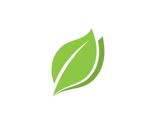 Logoer av grön trädblad ekologi vektor