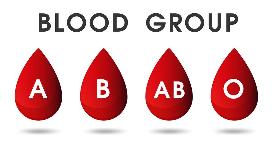 Rote Blutstropfen und Blutspenden durch Blut. vektor