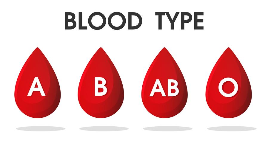 Rote Blutgruppentropfen und Blutspende. vektor