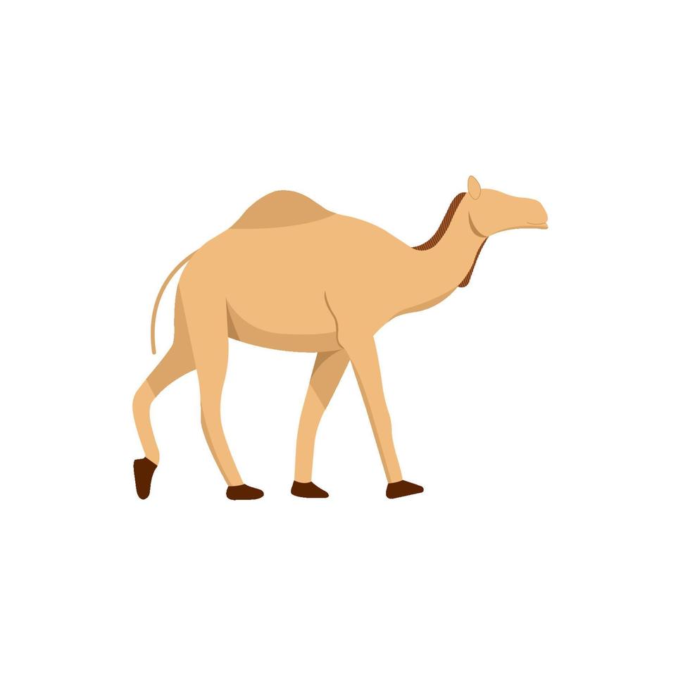 gående kamel vektor