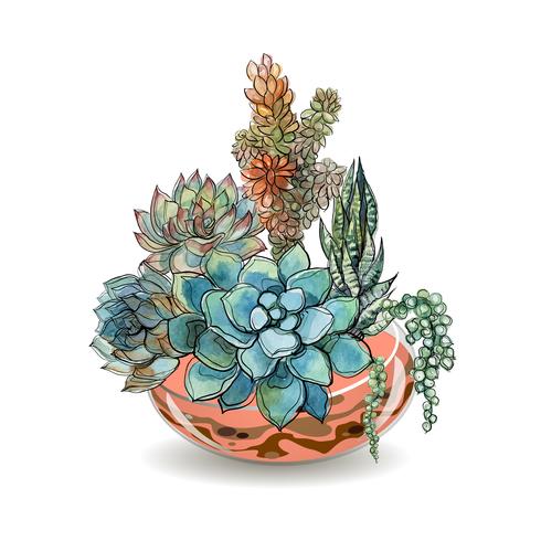 Succulenter i glas akvarier. Färgad sand. Blomma dekorativa kompositioner. Grafik. Vattenfärg. Vektor. vektor