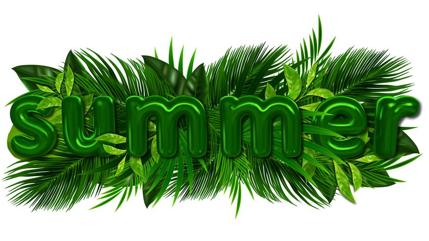 Grön sommar tropisk bakgrund med exotiska palmblad och växter. Vektor blommig bakgrund.