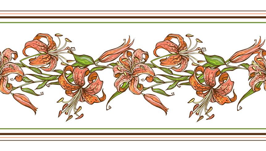 Tiger lilja. Samlat mönster. Flower border. Vektor illustration.