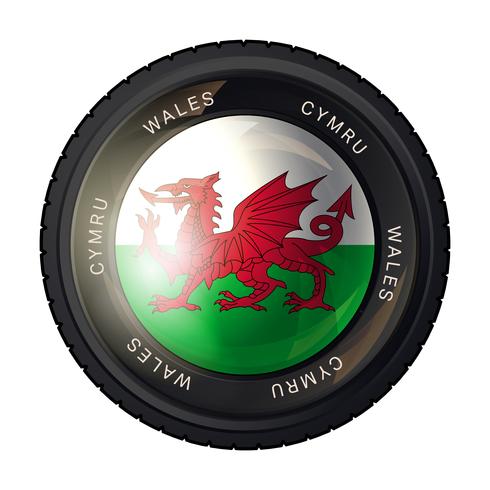 Wales Kennzeichnungssymbol vektor