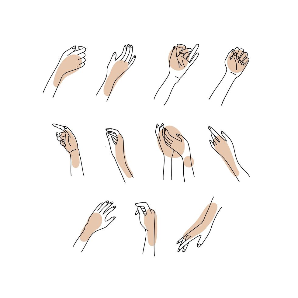 linjär kvinnas handsamling. vektor skiss illustration av kvinnliga händer av olika gester. lineart i en trendig minimalistisk stil. linje logo design, handkräm, nagelstudio, affischer, kort.