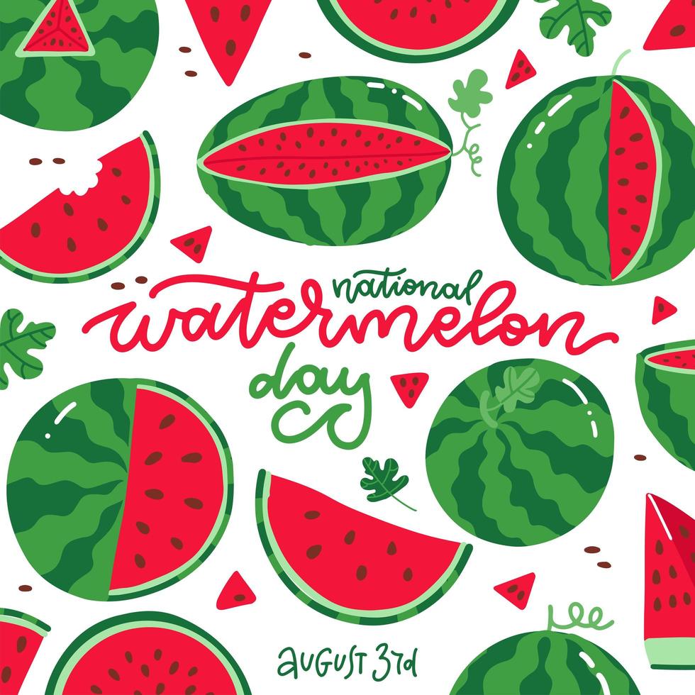 nationella vattenmelon dag fyrkantigt kort på den vita bakgrunden. många färska saftiga röda frukter med bokstäver text. vektor platt handritad illustration.