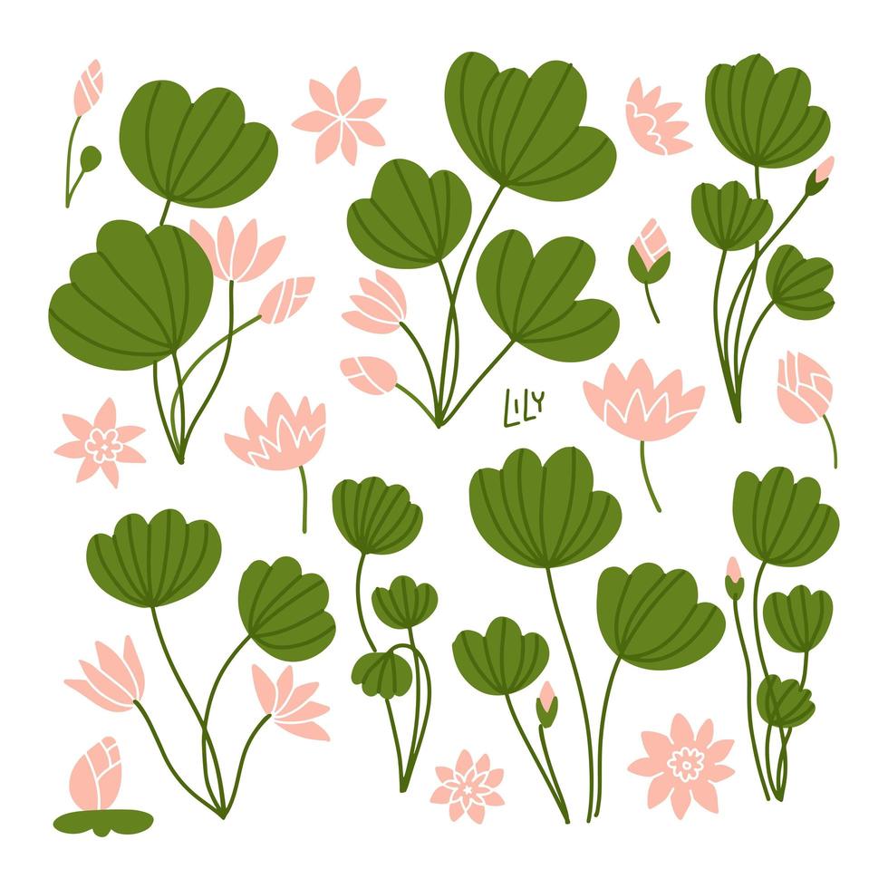 gröna liljekuddar med lotusblommor. sidovy. rosa blommande näckrosor och gröna blad. blommiga vattenväxter isolerad på vit bakgrund. platt stil platt vektor tecknad illustration.