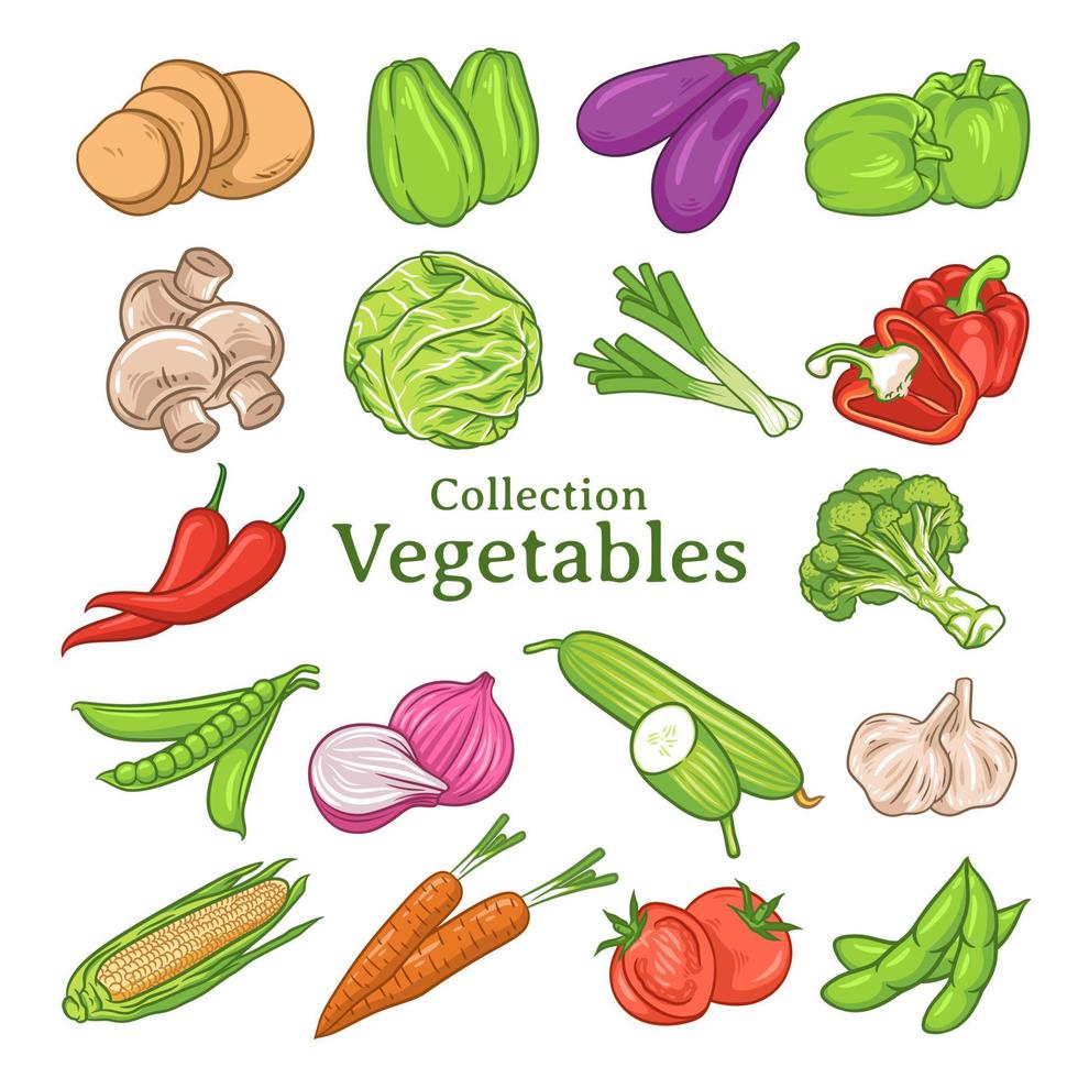 uppsättning handritade grönsaker illustrationer vektor