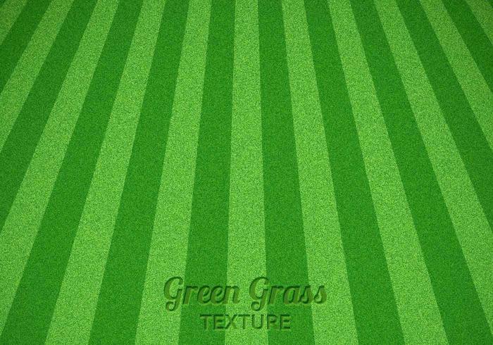 klippt grönt gräs vektor konsistens