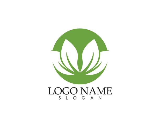 Ekologi vektor ikon logotyp och symbol mall