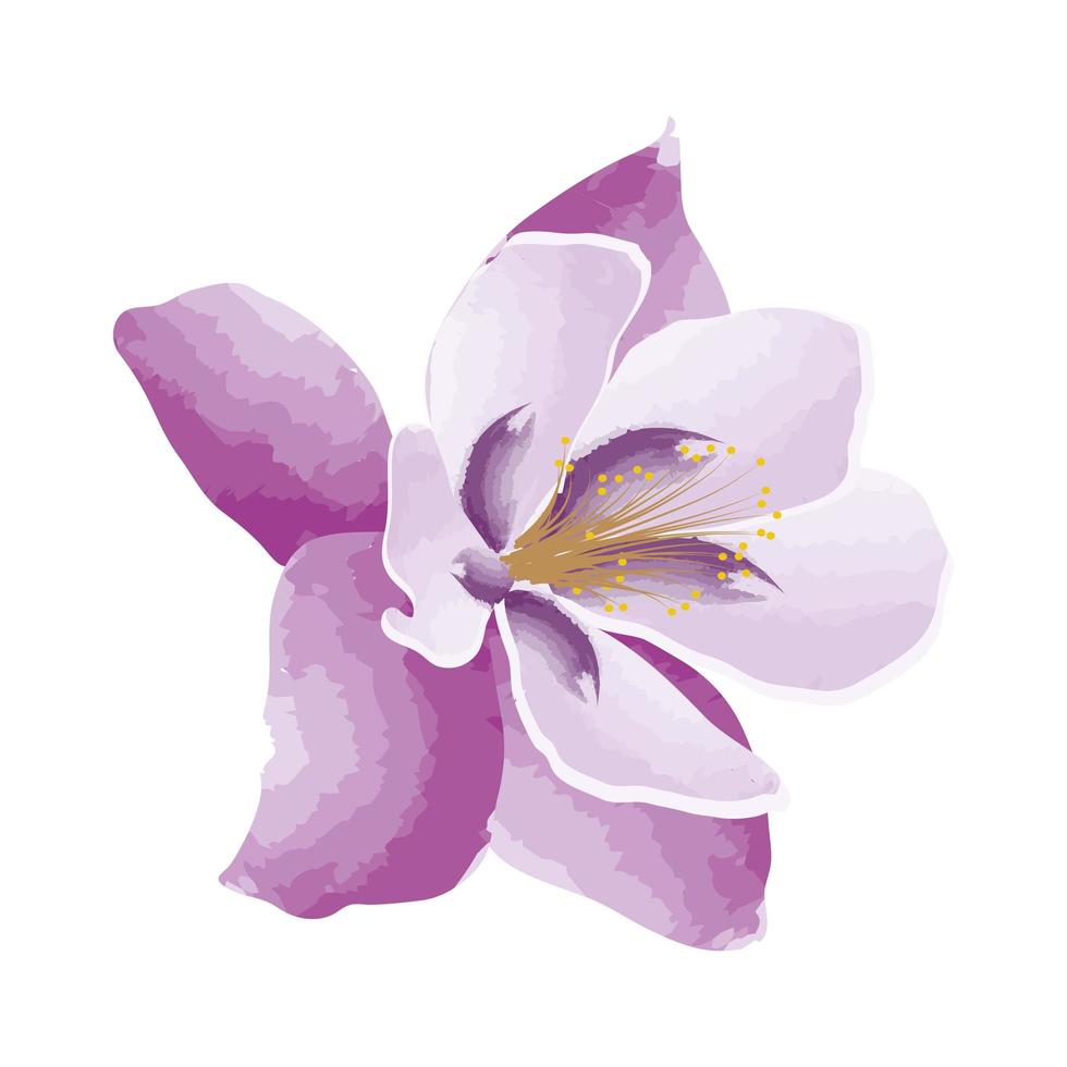 lila akvarell exotisk blomma vektor