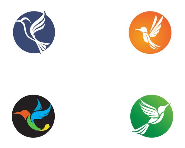 Hummingbird icon logo och symboler mall vektor