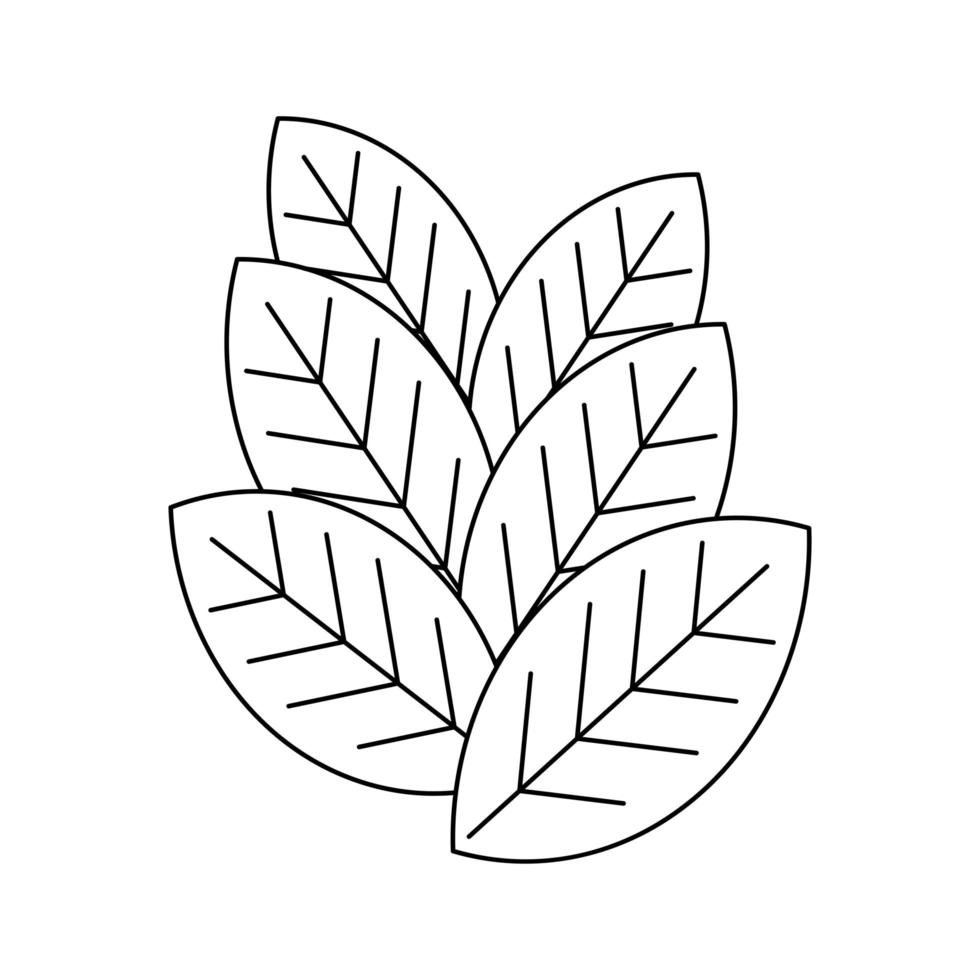 löv blad växt vektor