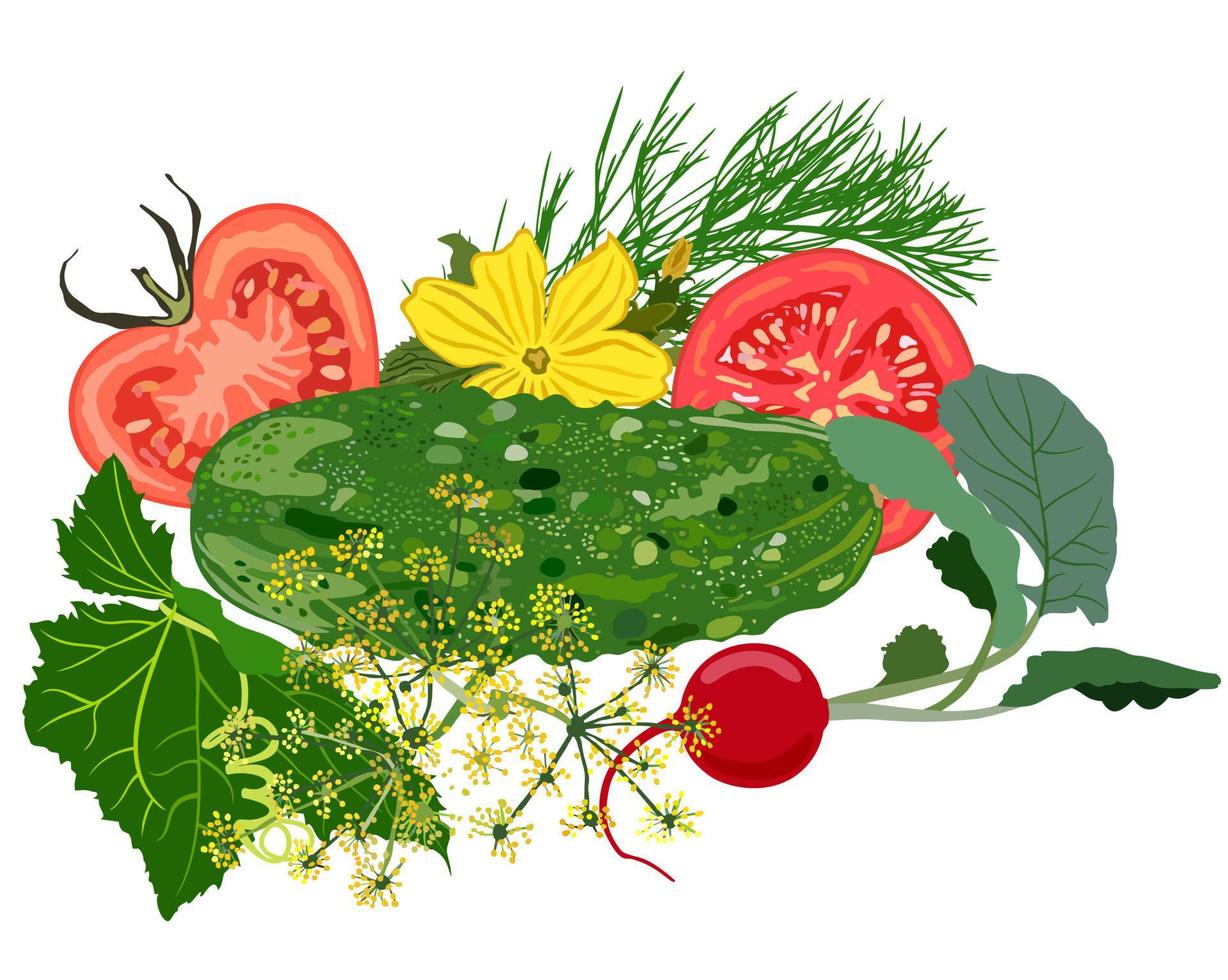 Sommerkomposition mit Gemüse. vektor