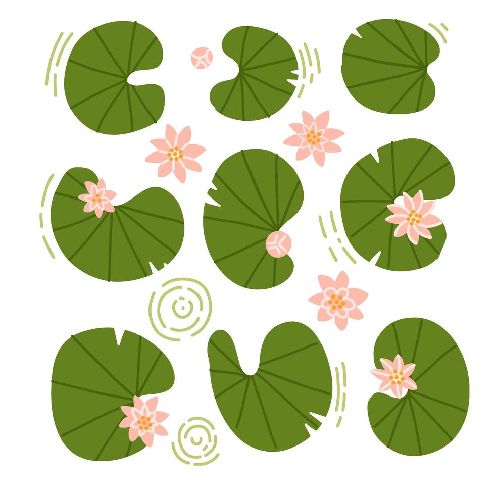 japanische oder chinesische blumen und seerosen gesetzt. sammlung von rosenwasser lotus und blättern draufsicht. Komposition anzeigen. vektor flache hand gezeichnete illustration.