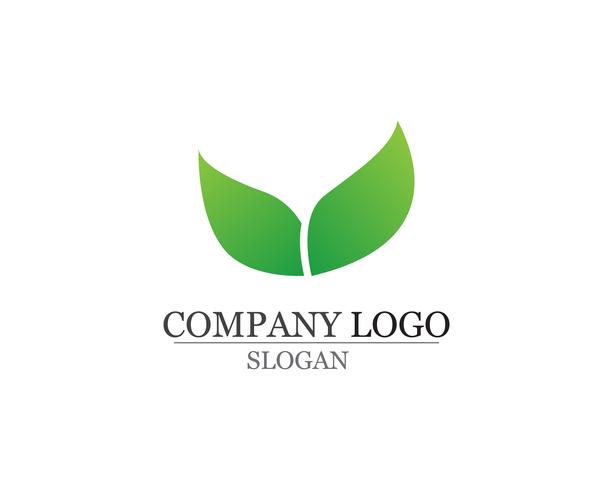 blattgrün natur logo und symbol vorlage Vektor app