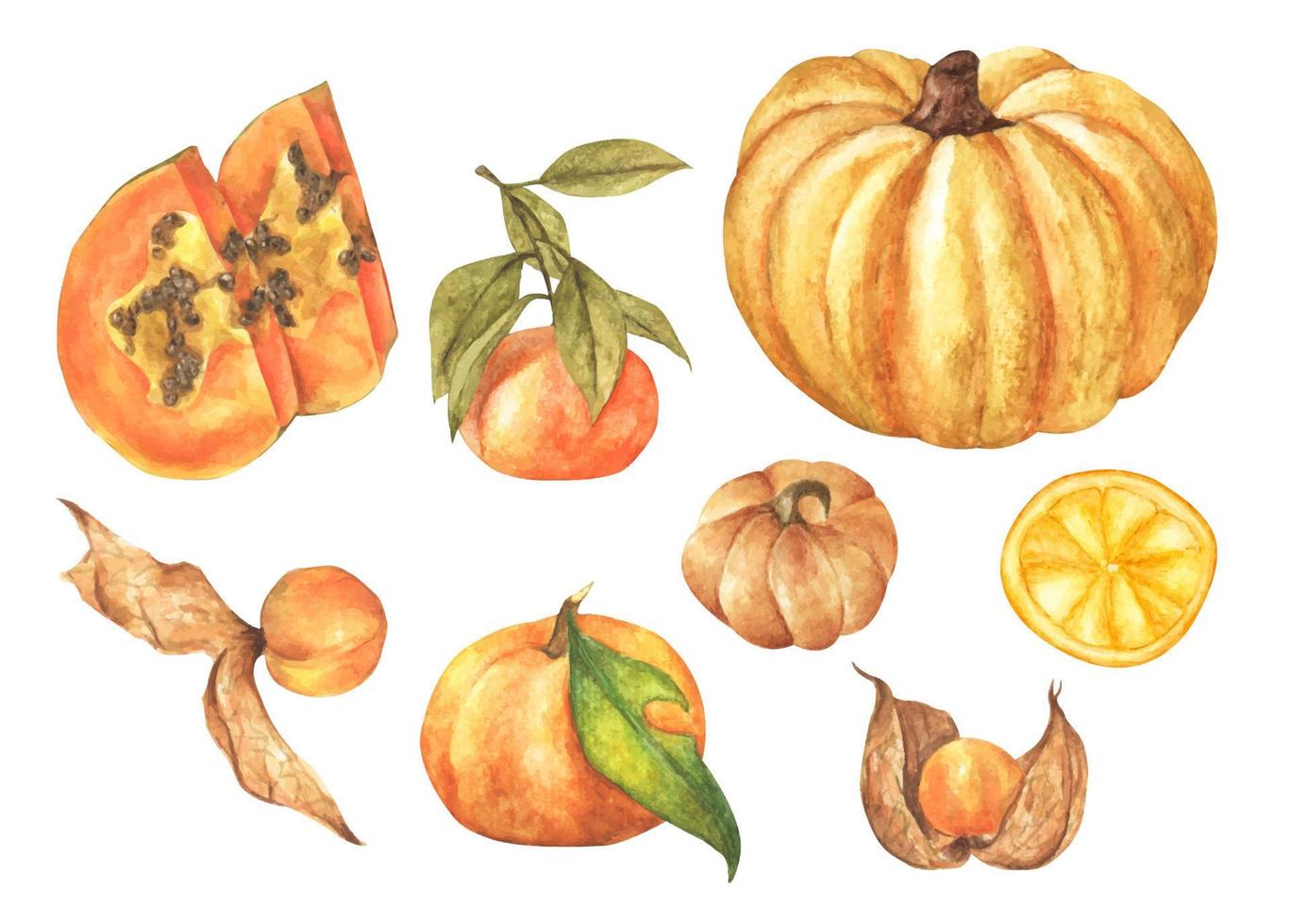 Gemüse- und Obstset. aquarellillustration. vektor