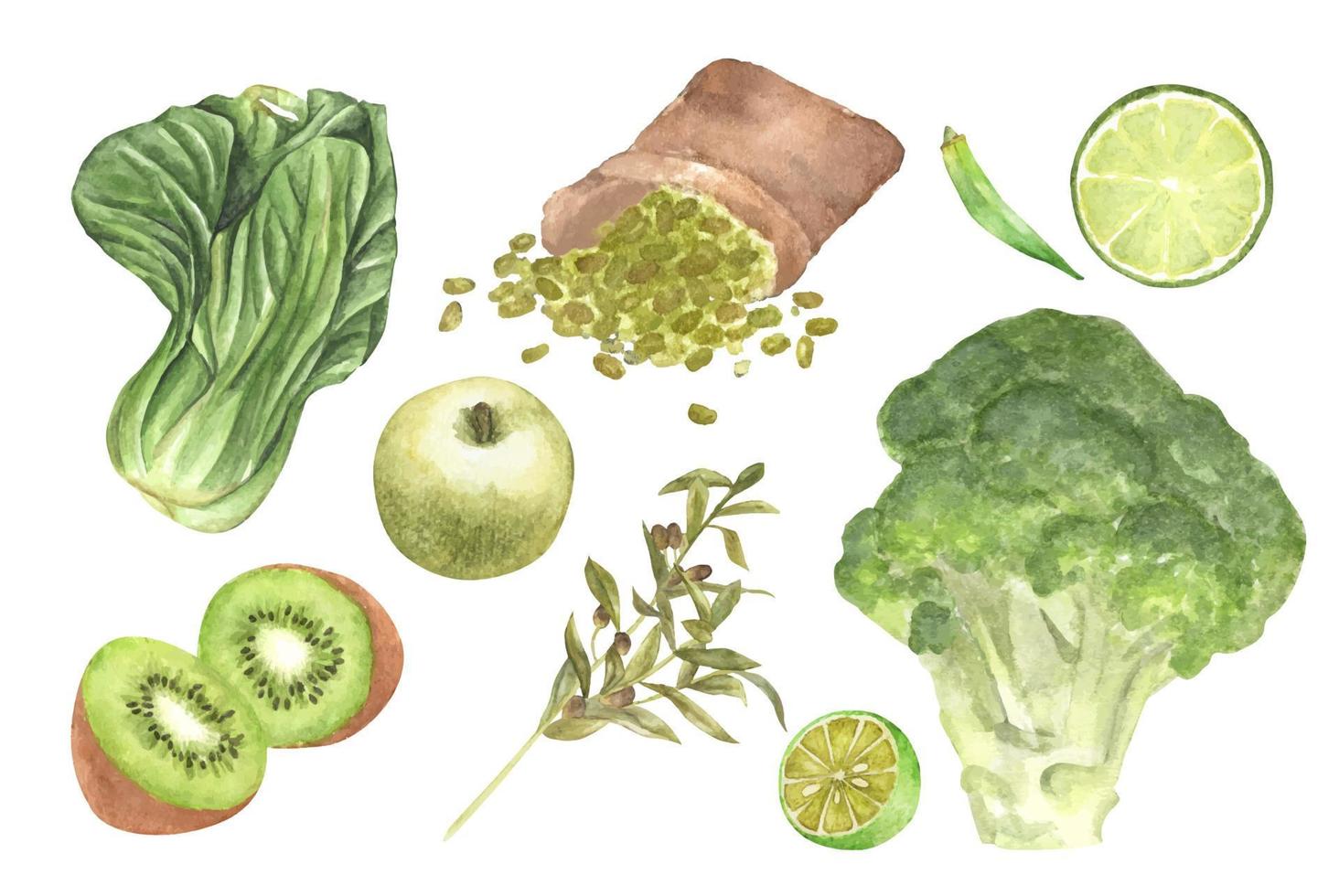 gröna grönsaker och frukt set. akvarell illustration. vektor