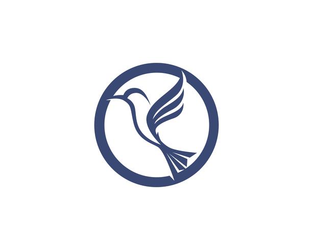 Hummingbird icon logo och symboler mall vektor