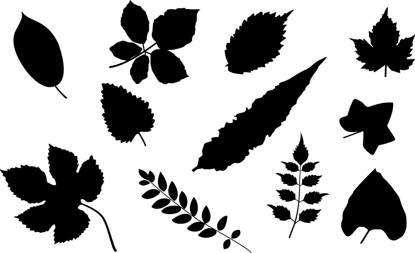siluett olika typer av löv av vektordesign vektor