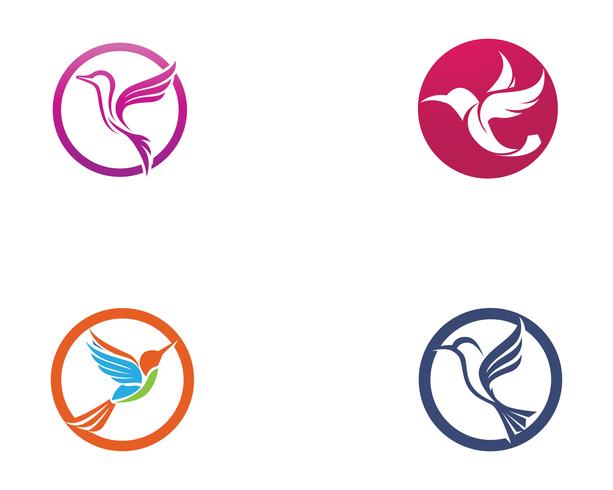 Hummingbird icon logo och symboler mall vektor