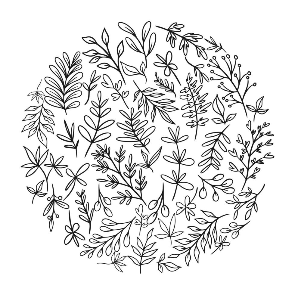 Satz von Skizzen und Linie kritzelt handgezeichnete florale Designelemente vektor