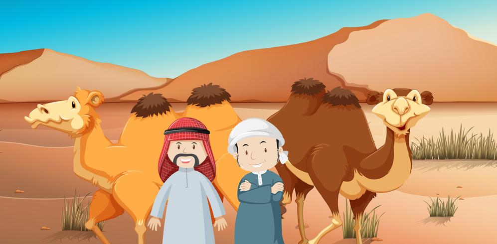 Två arabiska män och kameler i öknen vektor