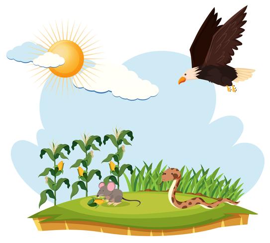 Szene mit Adler, Maus und Schlange auf einem Bauernhof vektor