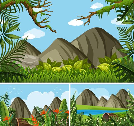 Drei Hintergrundszenen mit Bergen und Wald vektor