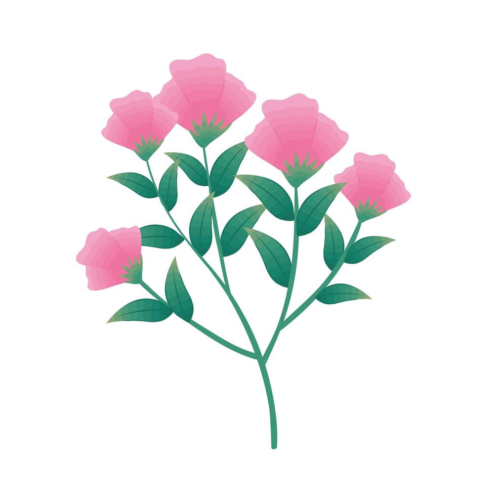 rosa blommor med grenar vektor