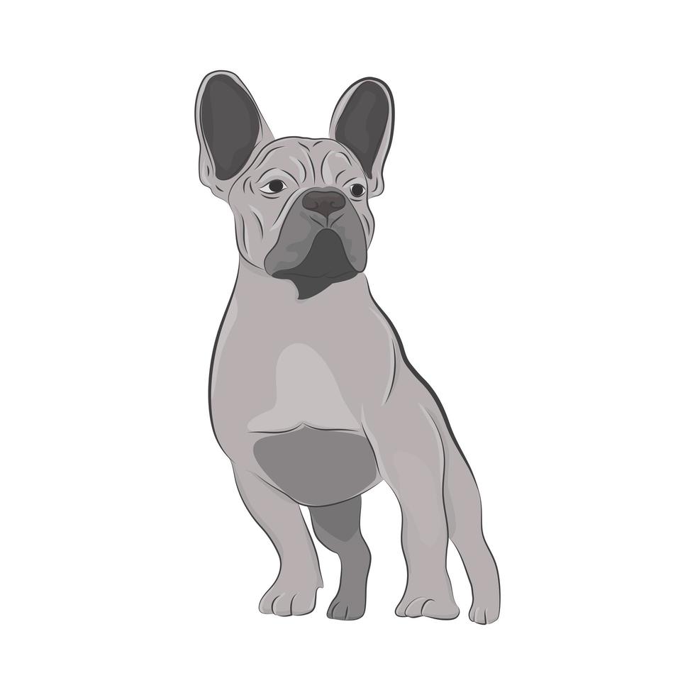 reinrassige hunde handgezeichnete illustration. vektor