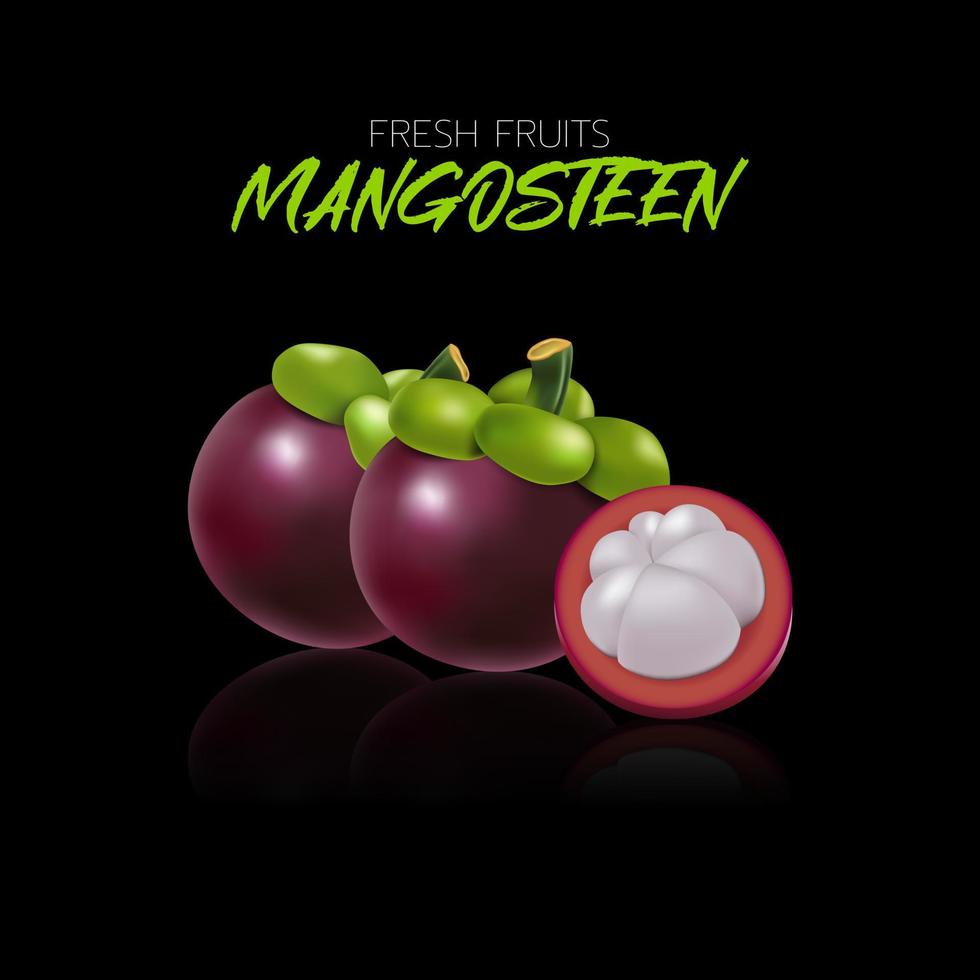 Mangostan auf schwarzem Hintergrund mit Reflexionen für Illustrationen und Druck. vektor