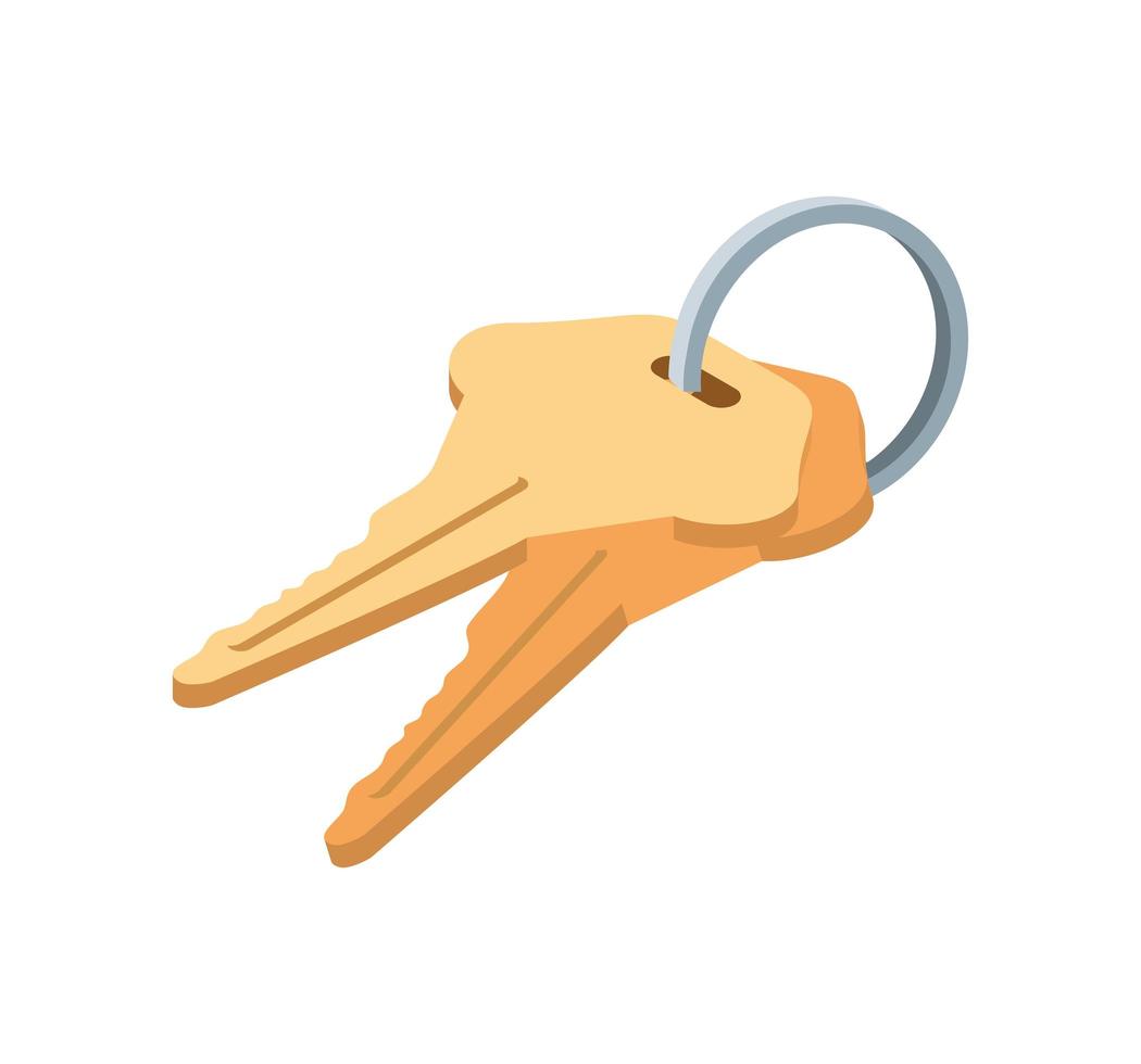nycklar skydd ikon vektor