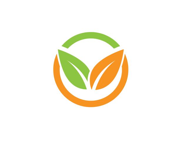 blattgrün natur logo und symbol vorlage Vektor