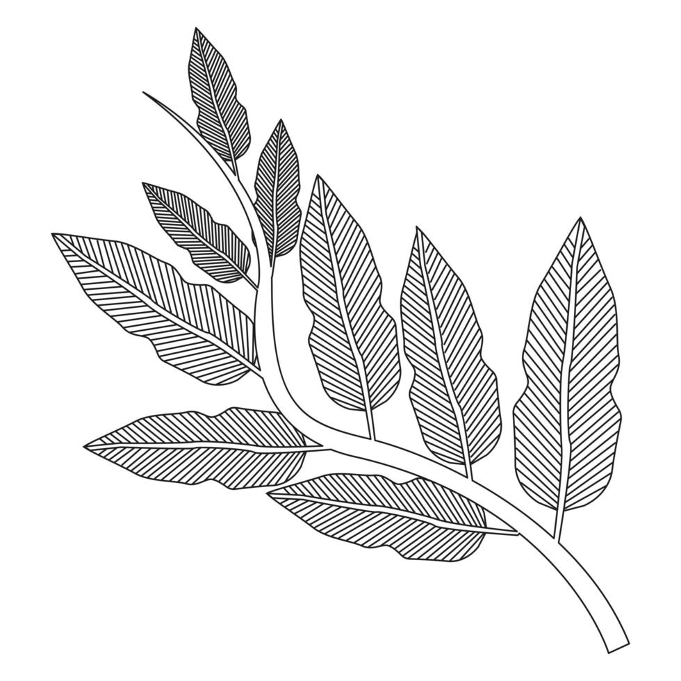 Zweig mit Blättern vektor