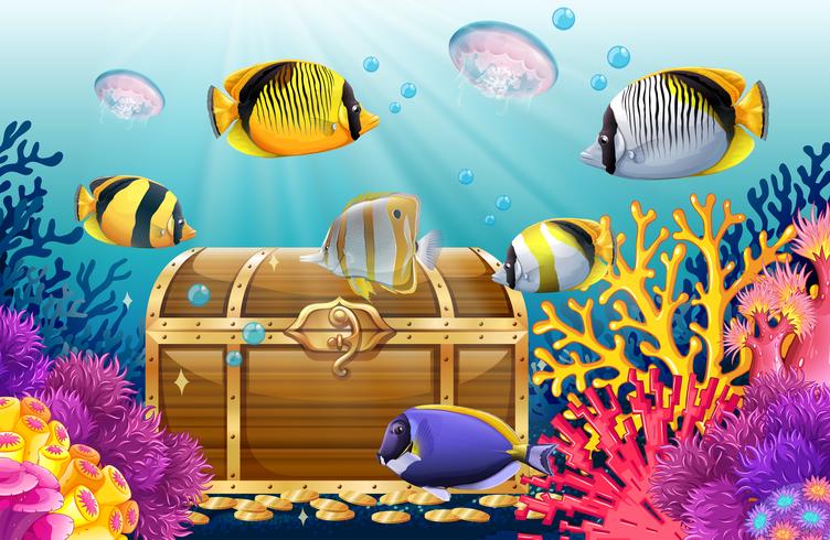 Fische und Quallen im Meer vektor