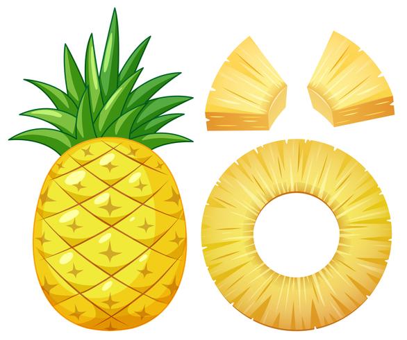 En ananas på vit bakgrund vektor