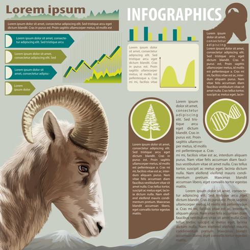 Ett infographics av ett djur vektor