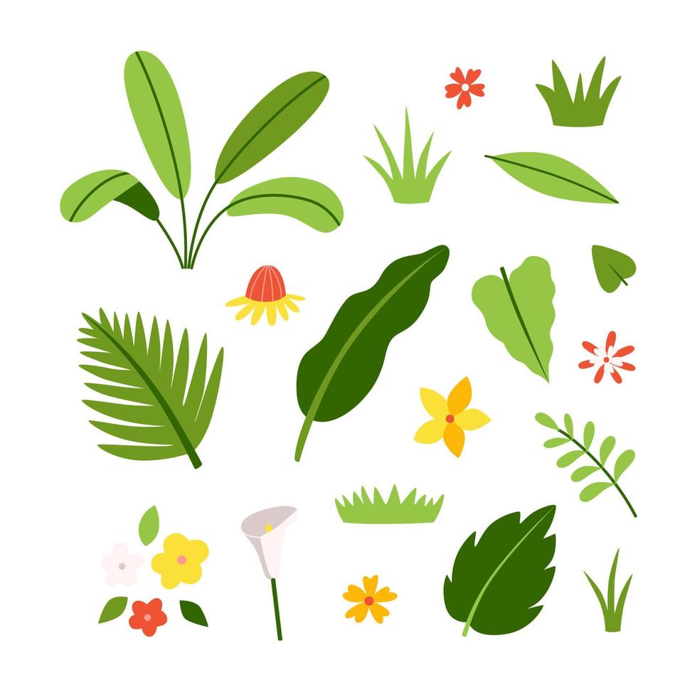 uppsättning av blommor och blad av exotiska växter och träd. tropisk flora vektor samling