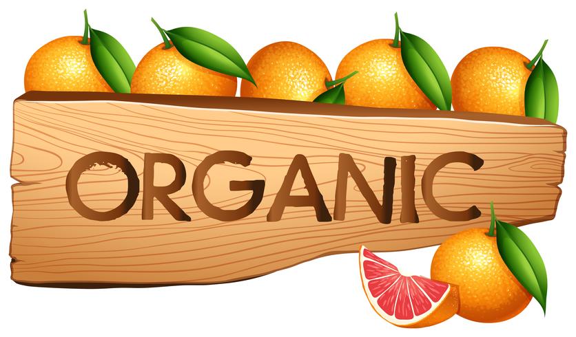 Oranager och organiskt tecken vektor