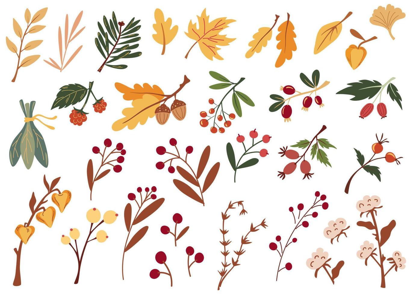 Herbstblätter und Beeren. Große Auswahl an verschiedenen Herbstblättern, Zweigen, Beeren und getrockneten Blumen. hand gezeichnete karikaturvektorillustration lokalisiert auf weißem hintergrund vektor