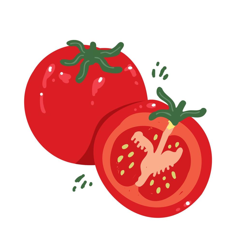 moderne tomate im handgezeichneten stil. Vektor-Illustration vektor