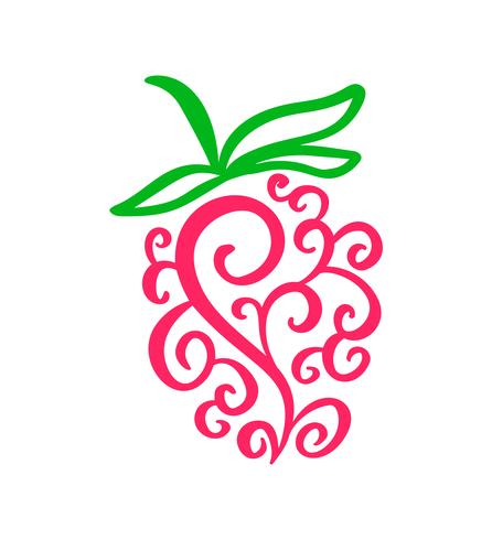Vektor handritad hallon skissera doodle ikon frukt
