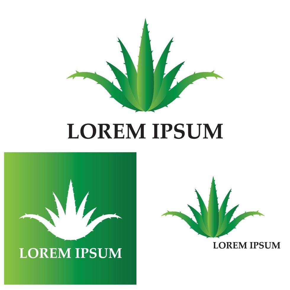 aloe vera logo vektorillustrationsvorlage vektor