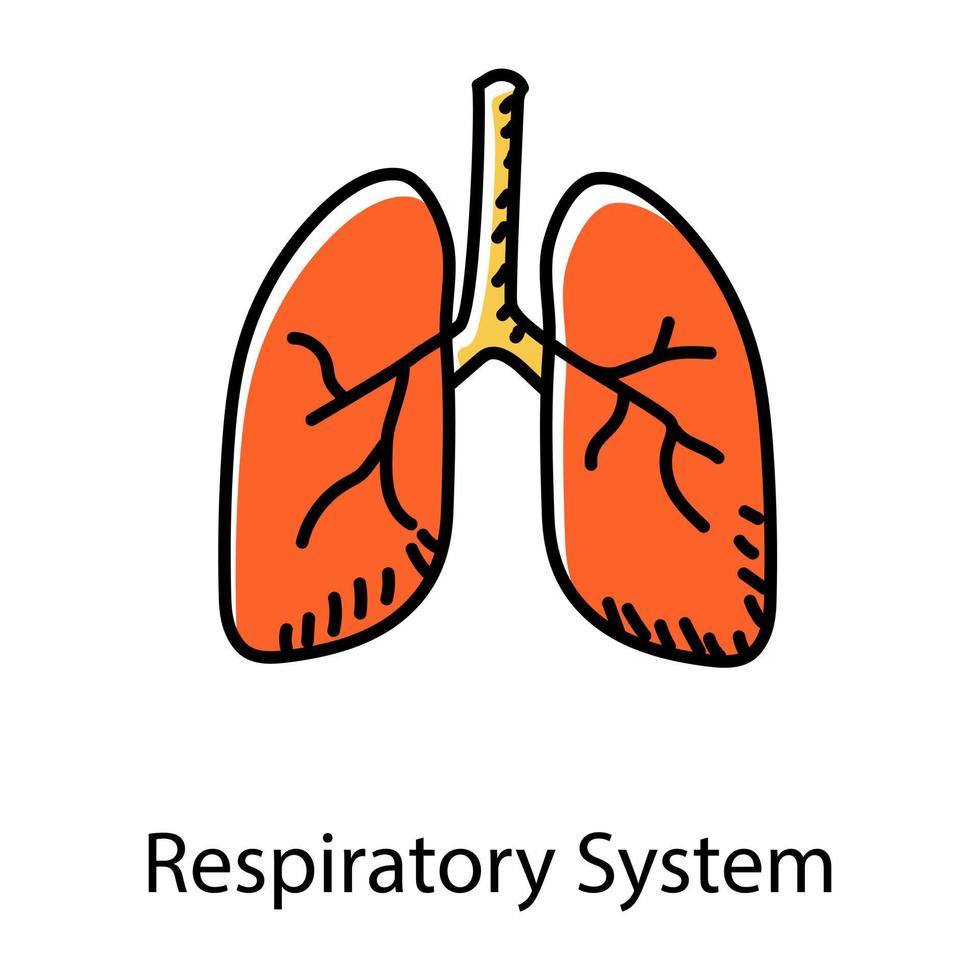 Menschliches Organ, bearbeitbares Symbol im Doodle-Stil der Atemwege, Lunge, Anatomie, Pulmologie, Beatmung, Organ, Symbol, Vektor, Gekritzel, Skizze vektor